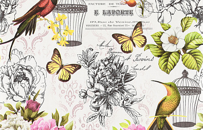 Брянские Обои Колибри  гфр 6 С66БР-ГП